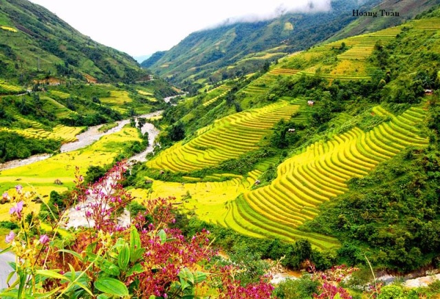 SAPA 2 DAY MINORITY TREK - 1 NIGHT VILLAGE STAY